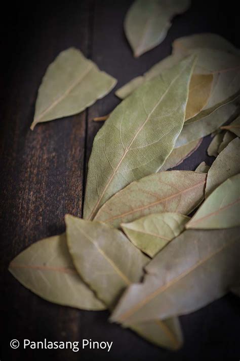 dried bay leaves in tagalog